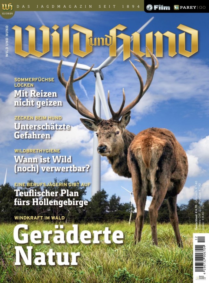 Wild und Hund