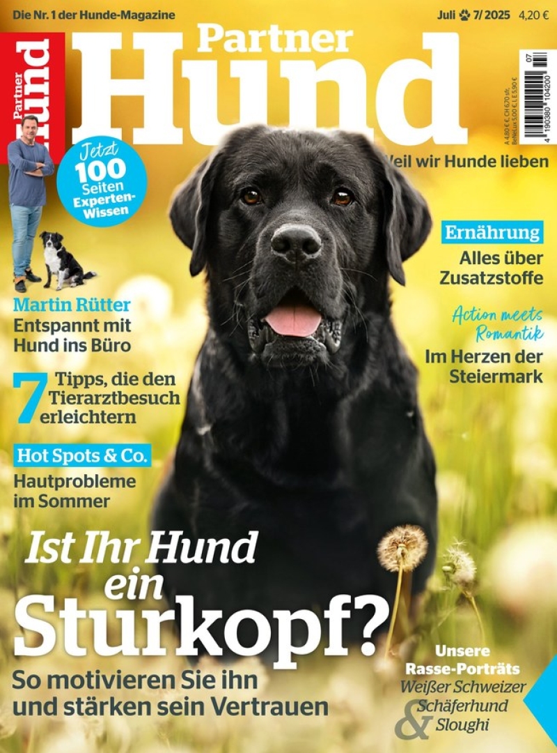 Partner Hund