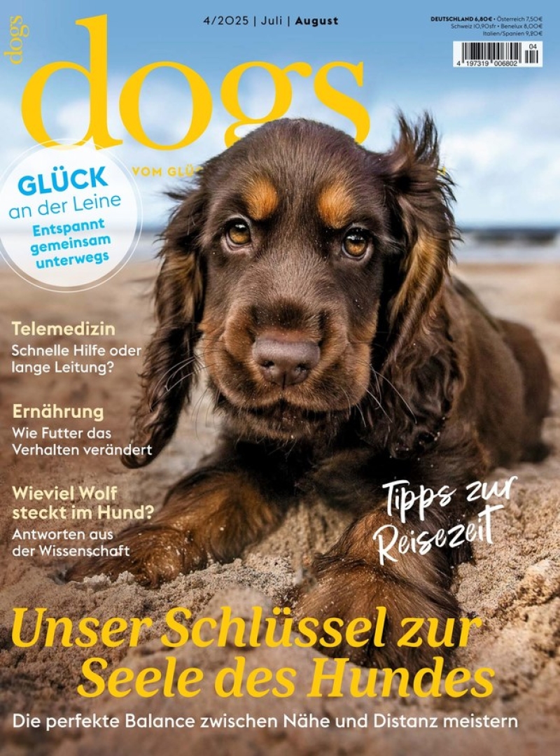 dogs