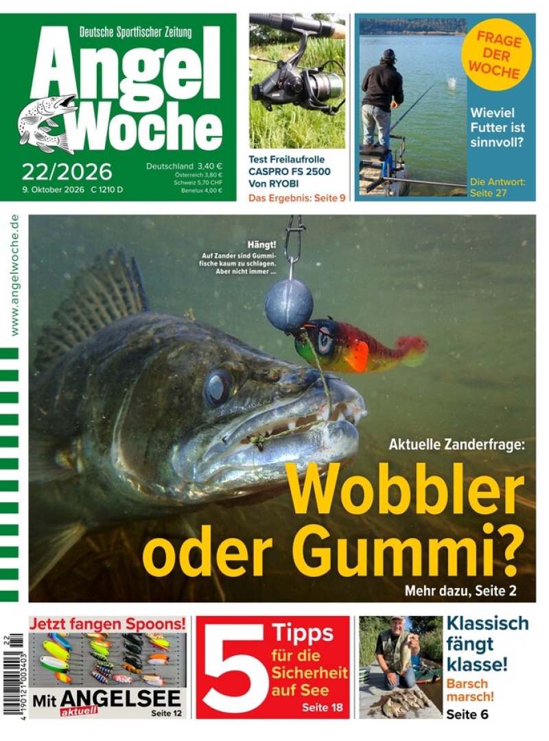 AngelWoche