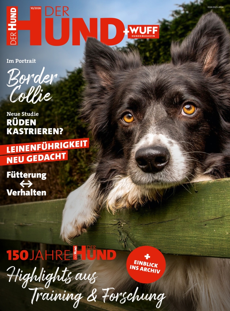 DER HUND