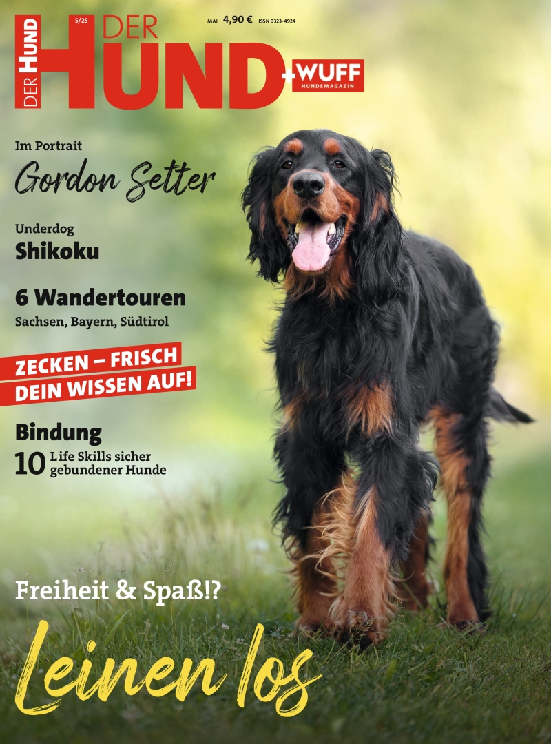 DER HUND