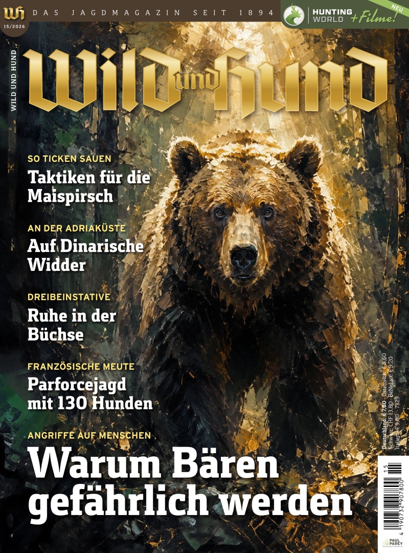 Wild und Hund