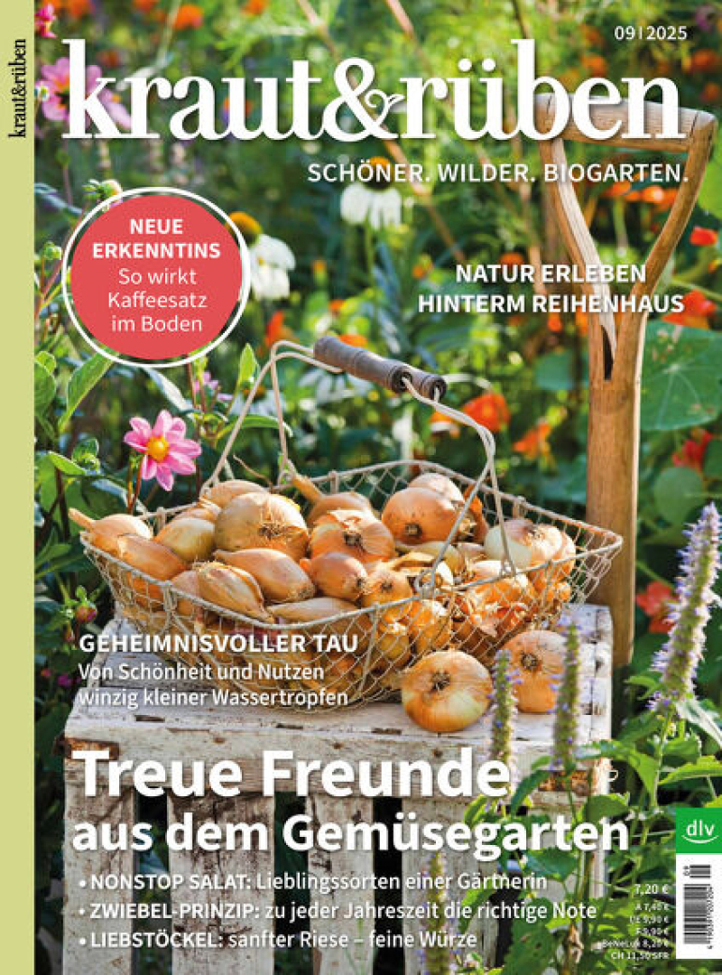 kraut & rüben kraut & rüben