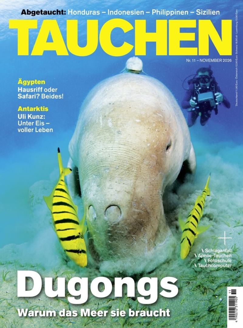 tauchen
