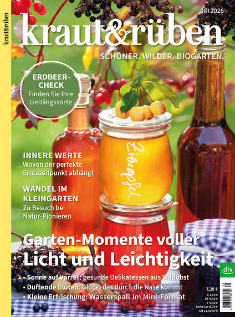 kraut & rüben