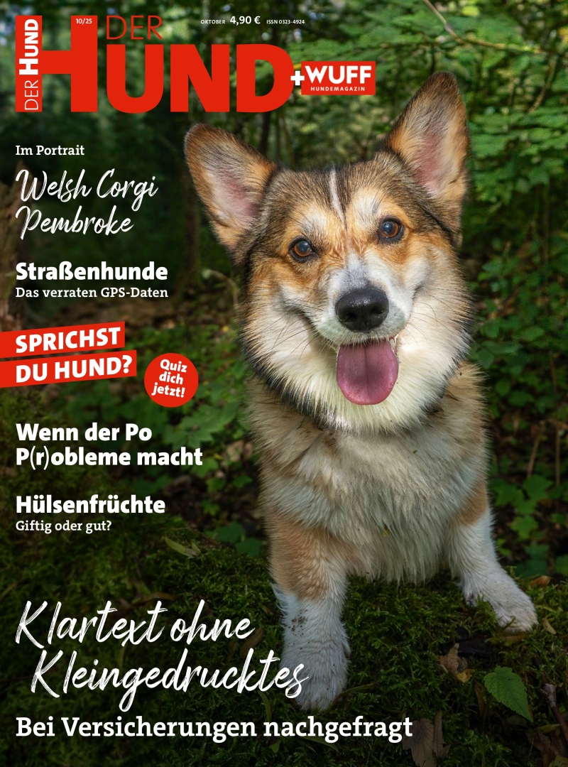 DER HUND